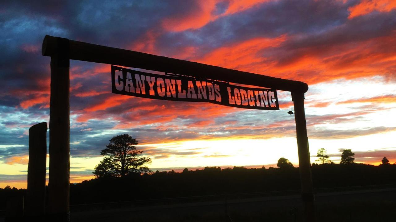 White Pine Cabin By Canyonlands Lodging Monticello Buitenkant foto